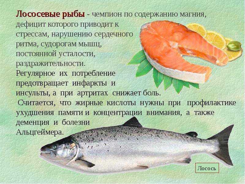 Форель за полезные свойства именуют королевской рыбой, достаточно долго она подавалась на стол только царям и вельможам Сейчас купить ее можно практически в любом магазине по доступной цене Форель - рыба, которая очень ценится в кулинарии за вкусовые каче