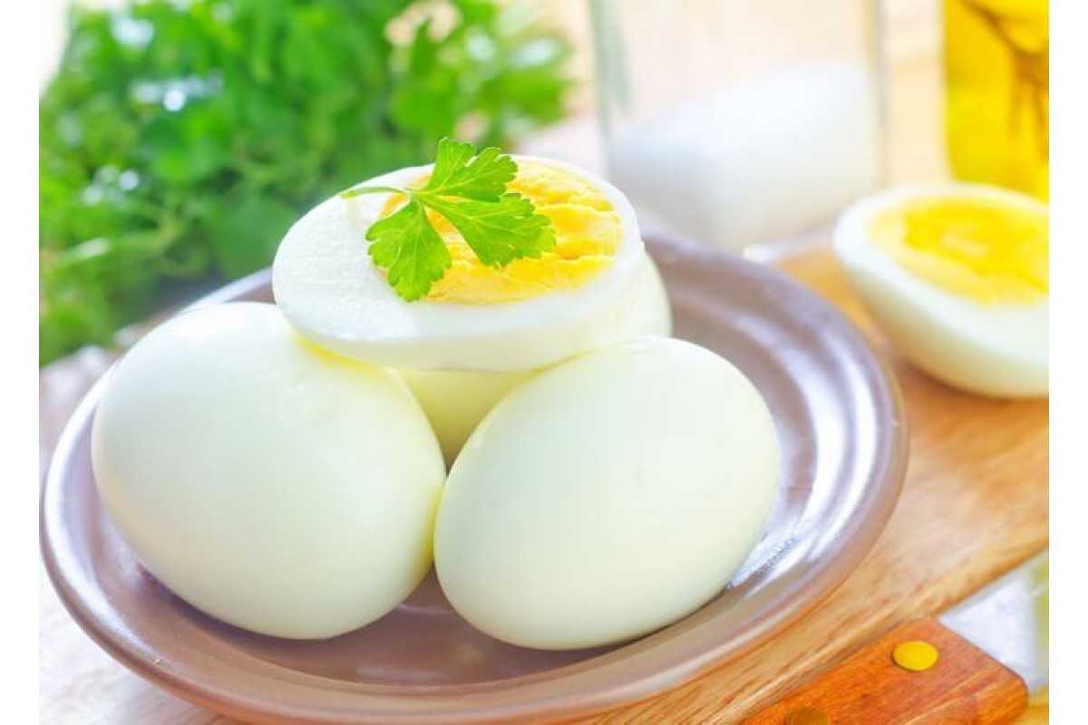 При гастрите можно яйца вареные. Вареные яйца. Отварные яйца. Отвар яиц. Яйцо куриное вареное.