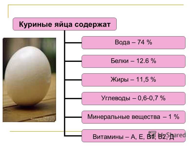 Полезные свойства белка. сколько калорий в яичном белке.