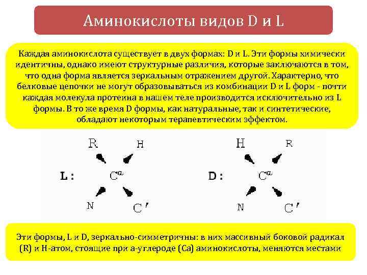 Заменимые и незаменимые аминокислоты для похудения, укрепления мышц и улучшения настроения - статьи по онкологии - популярные и научные публикации для пациентов