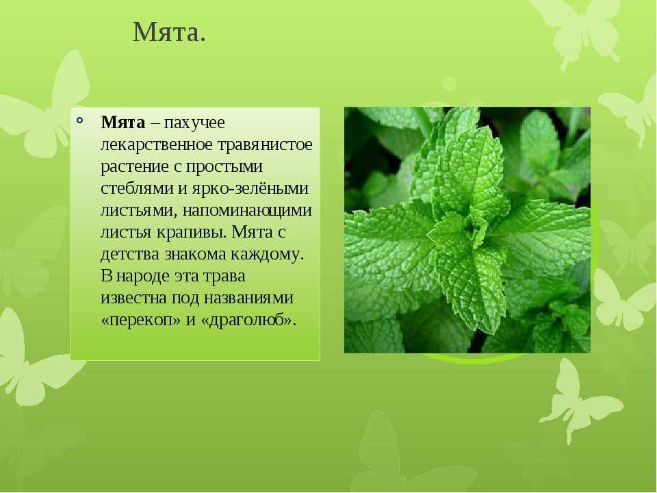 Запах изо рта у ребенка – это важный диагностический симптом!