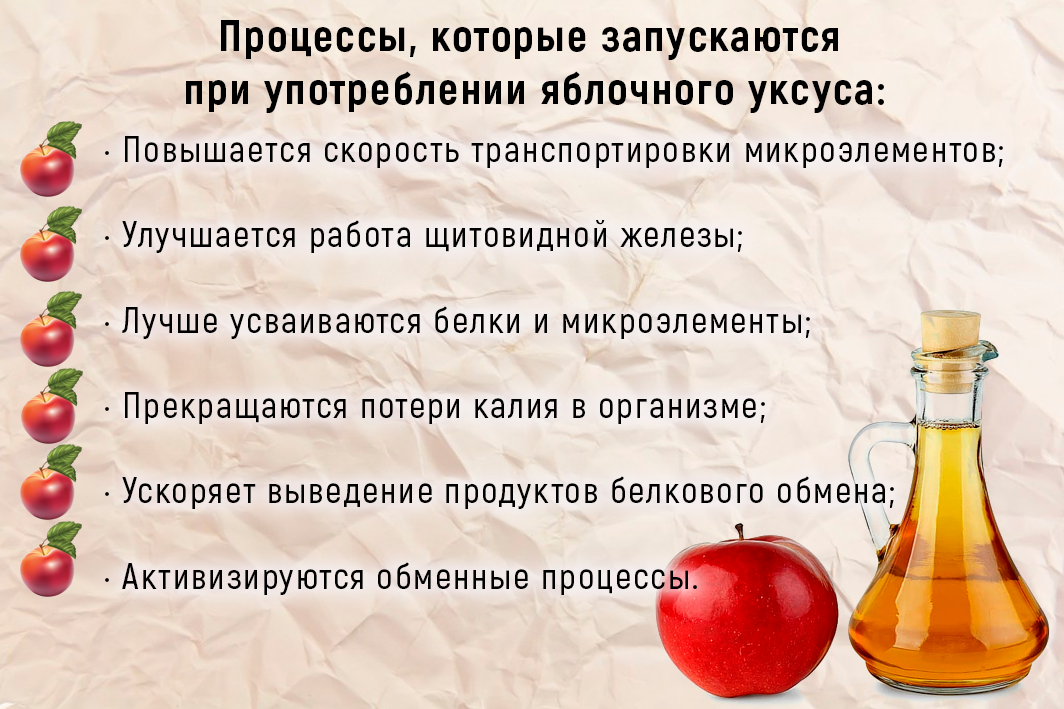 Яблочный уксус: полезные свойства и применение