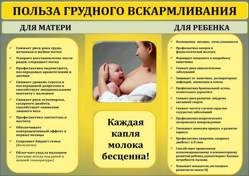 Состав грудного молока | из чего состоит грудное молоко