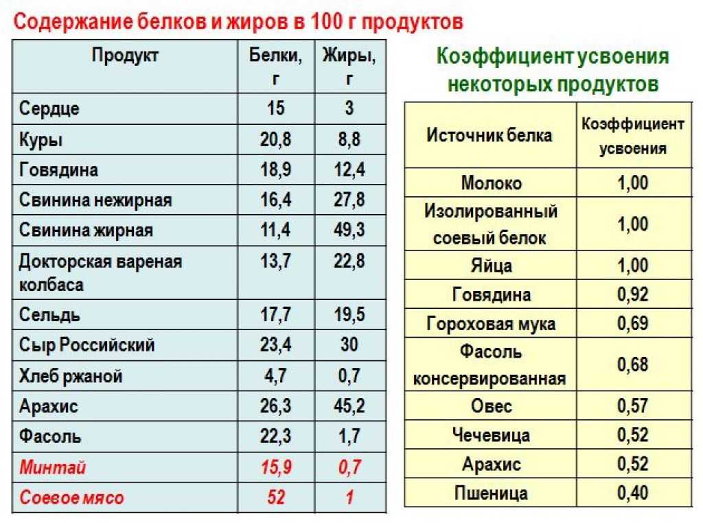 Что такое протеин, для чего он нужен, виды протеина, как правильно принимать и выбрать лучший продукт