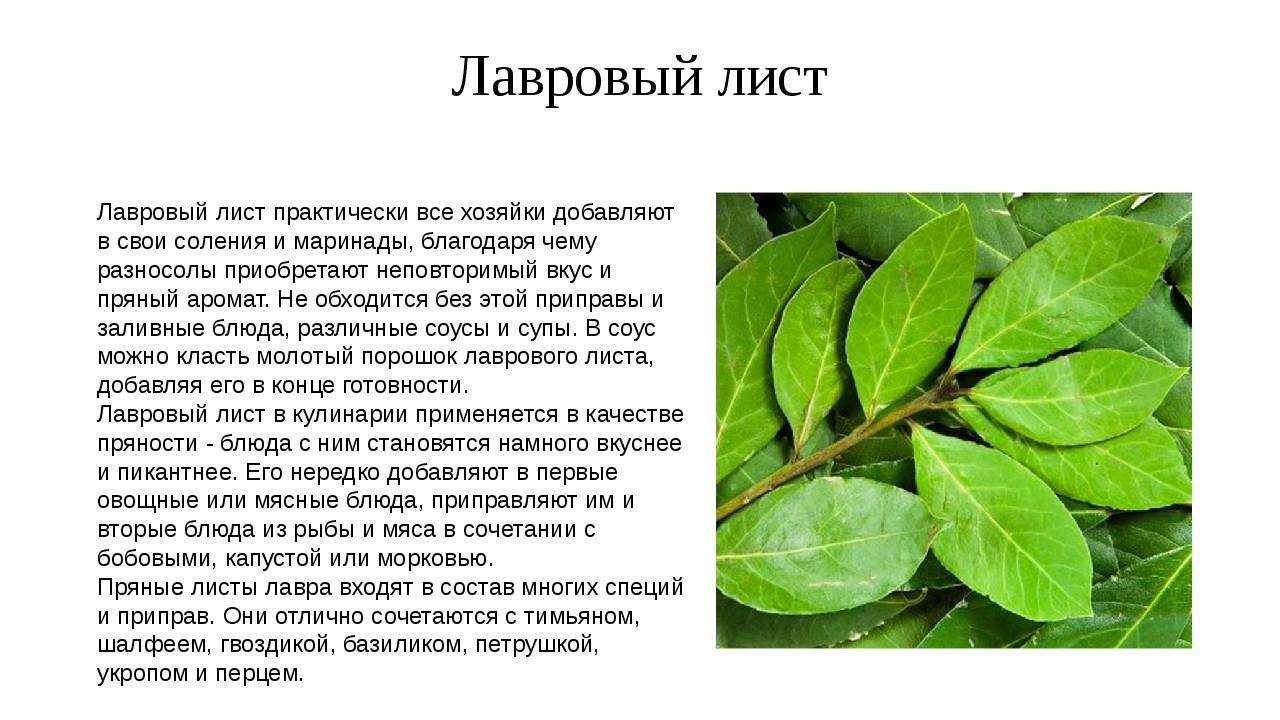 Минералы: макроэлементы и микроэлементы