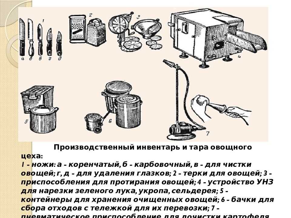 Презентация на тему "организация работы овощного цеха"