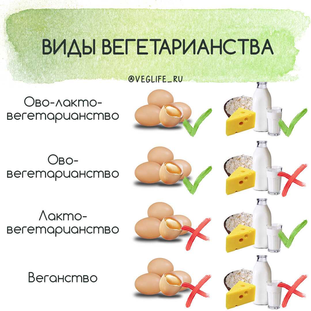 Вегетарианство с научным подходом - fitlabs / ирина брехт