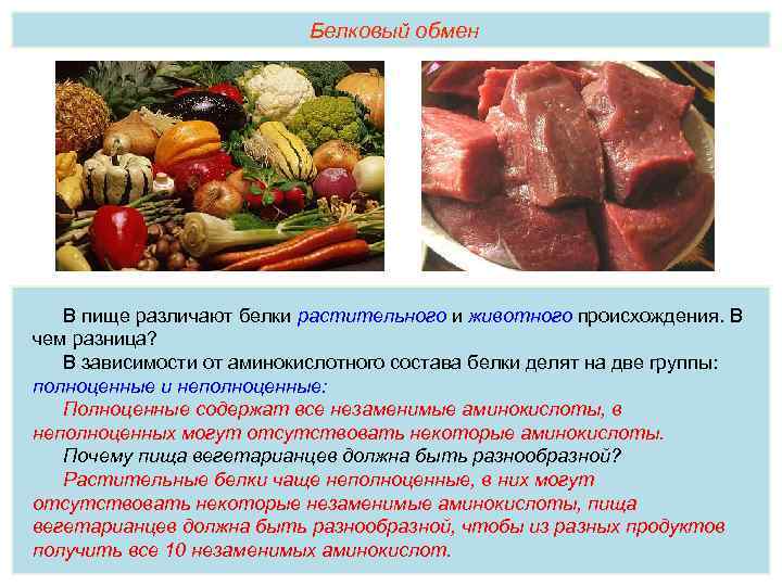 Белок в продуктах: роль в рационе, нормы употребления, меню на день от фитнес-тренера