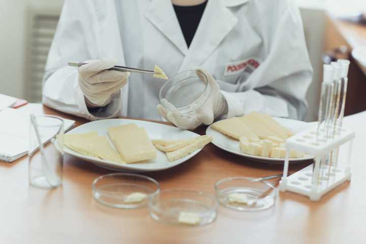 Жиры в организме, в каких продуктах содержится больше всего