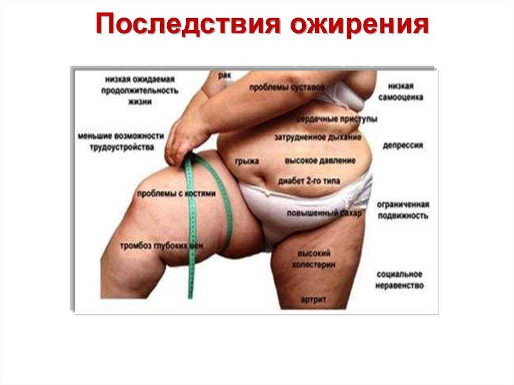Жиры в организме, в каких продуктах содержится больше всего – эл клиника