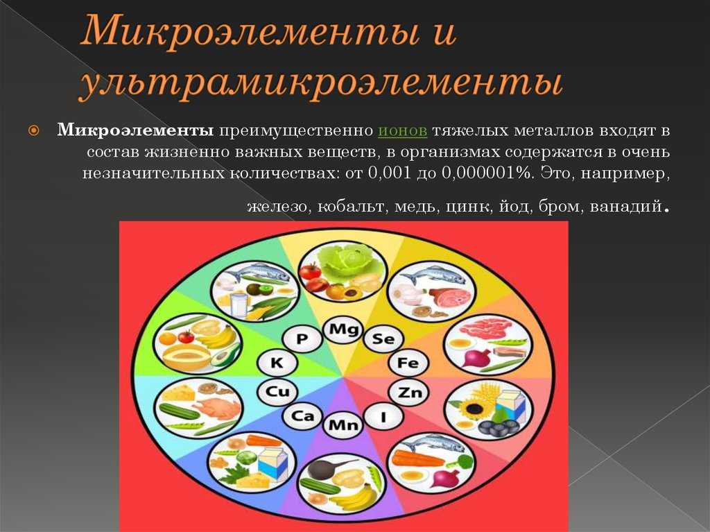 Биология. 11 класс