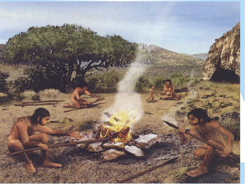 Особенности японской кухни, блюд