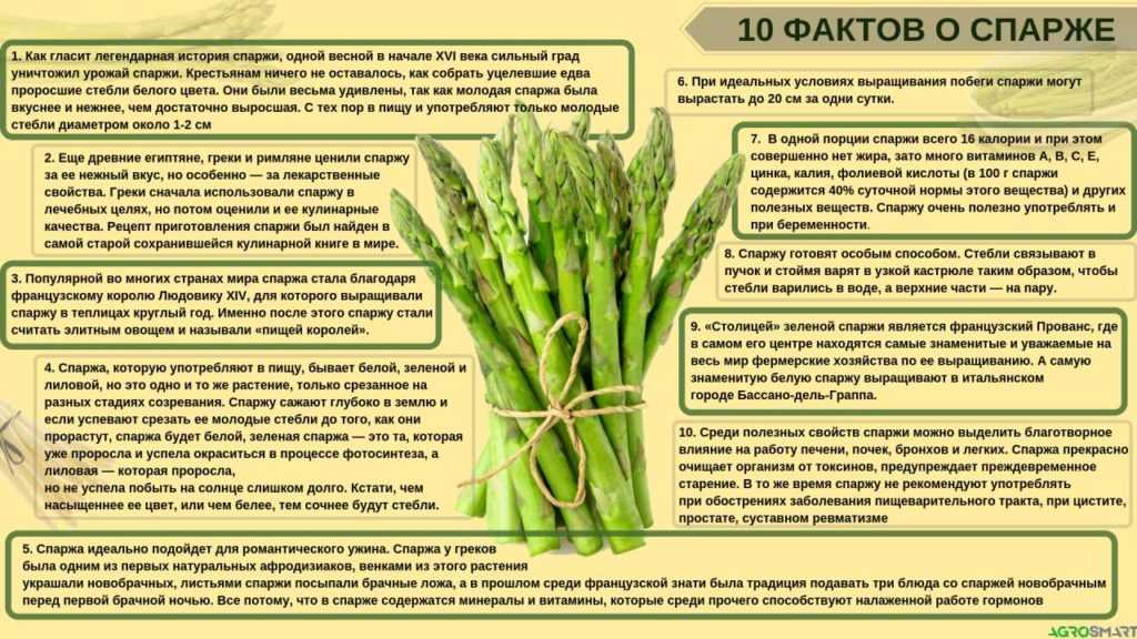 Спаржа в диетическом питании: калорийность, польза, вред, рецепты