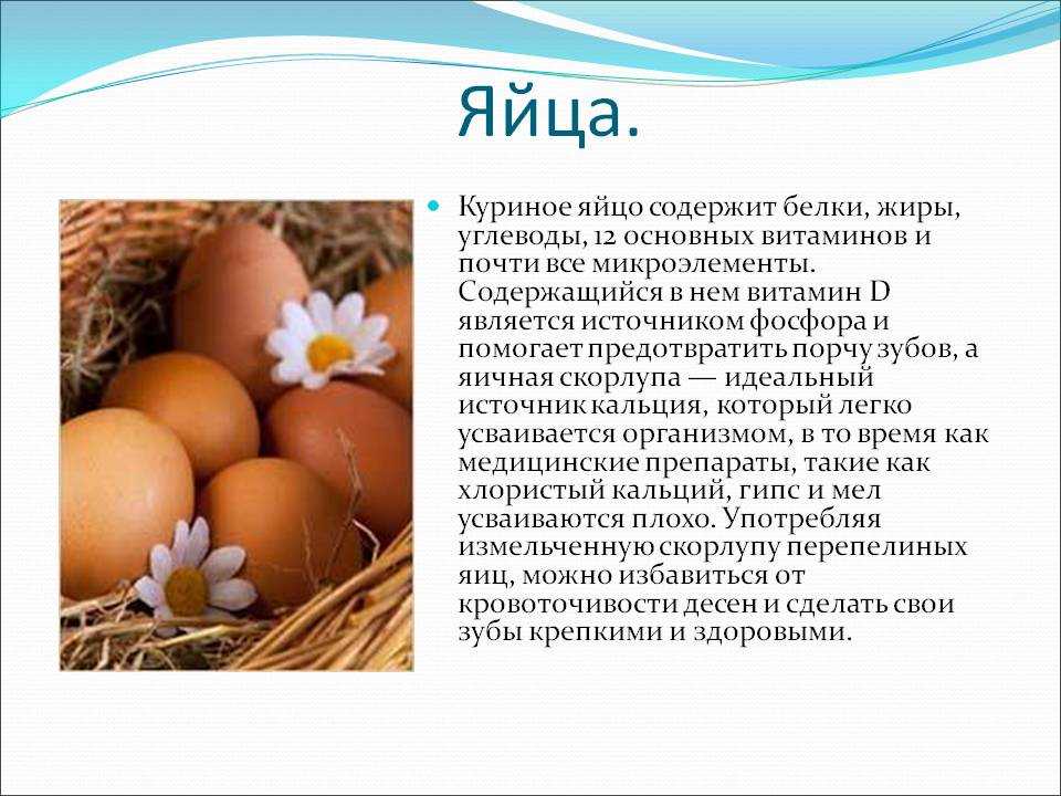 Рейтинг топ-10 продуктов с содержанием белка ★ что есть спортсменам и худеющим