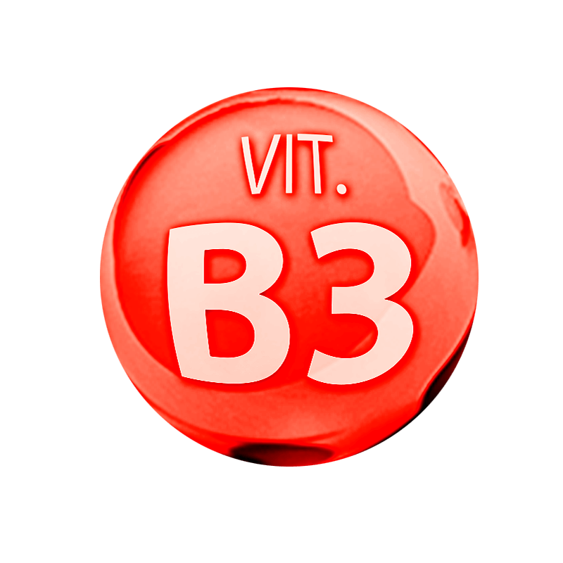 B 3 2