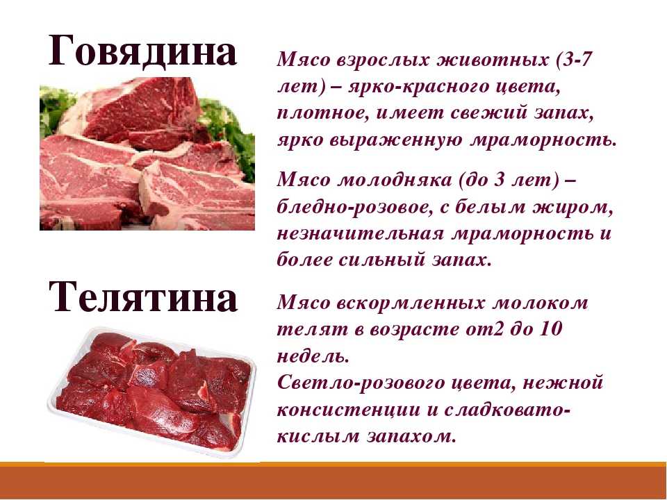 Говядина: польза и вред для организма мужчин и женщин + в каком виде ее лучше есть