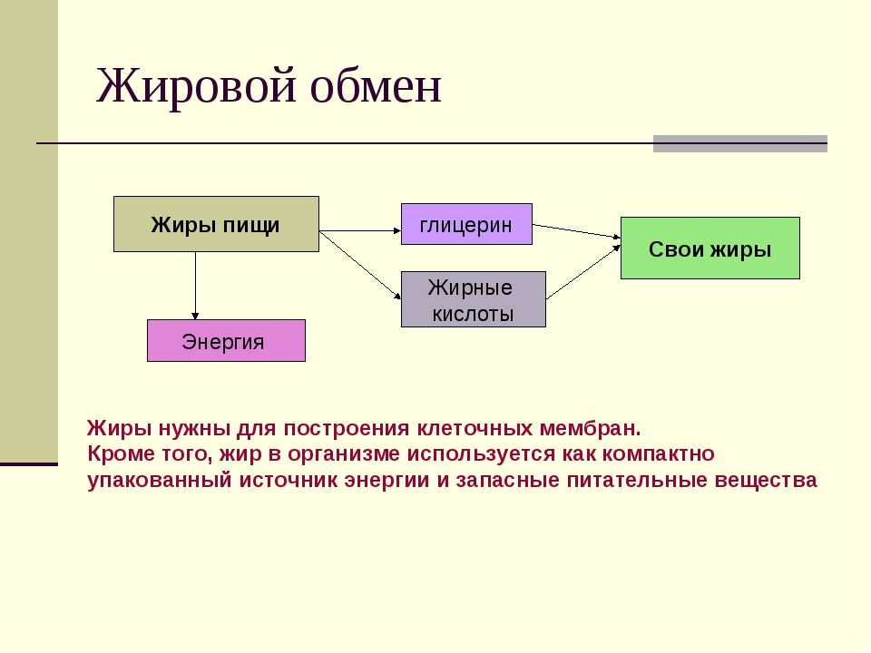 Гиполипидеми­ческая диета при повышенном холестерине: меню, список продуктов | все о печени.ру