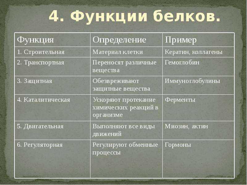 Белки
