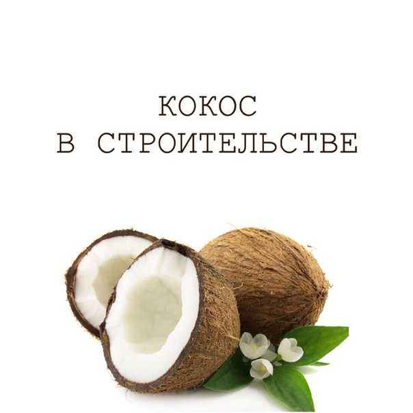 Кокос польза для организма. Худеем кокосом. Кокос любимый. Витамины в кокосе.