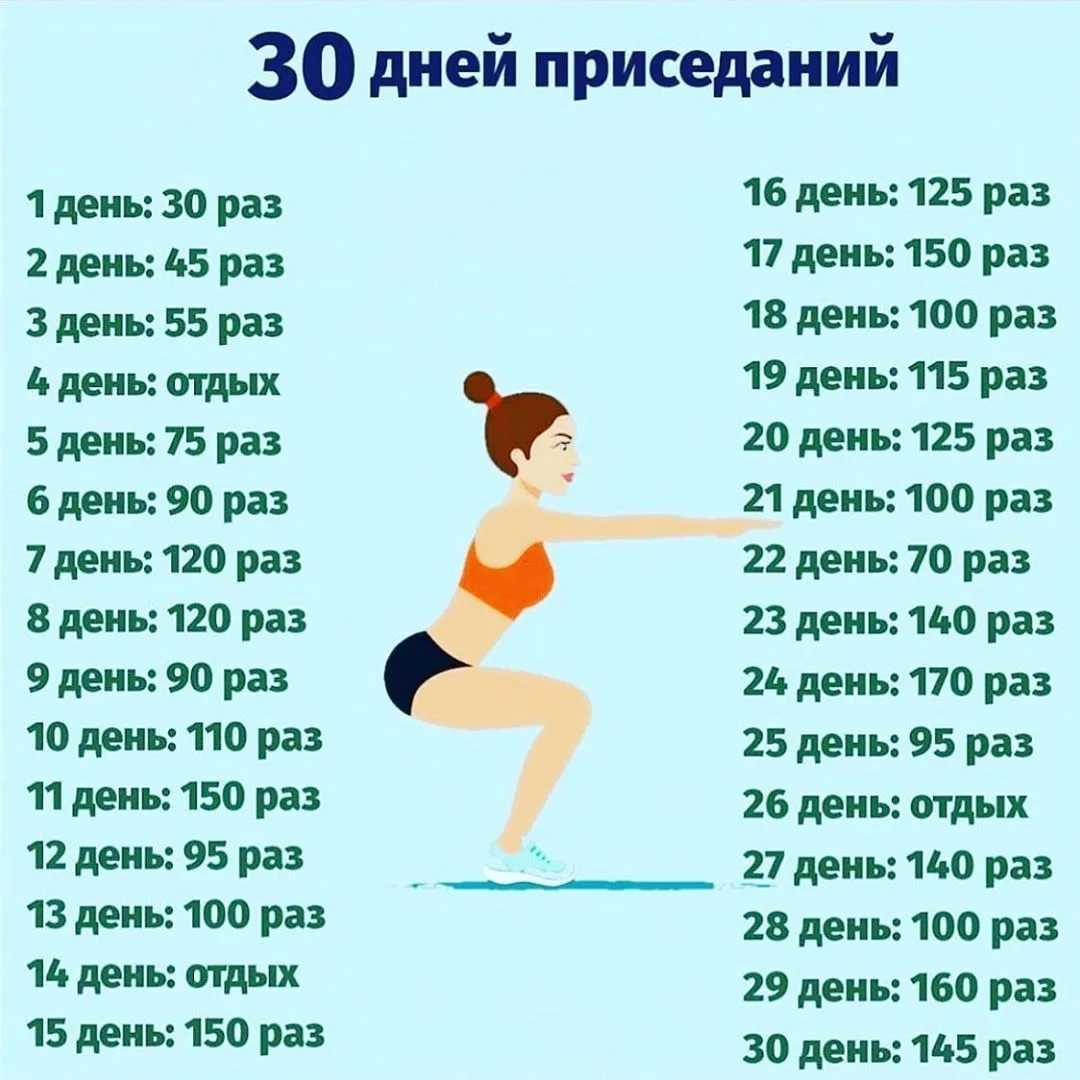Программа приседаний: составление, техника, советы