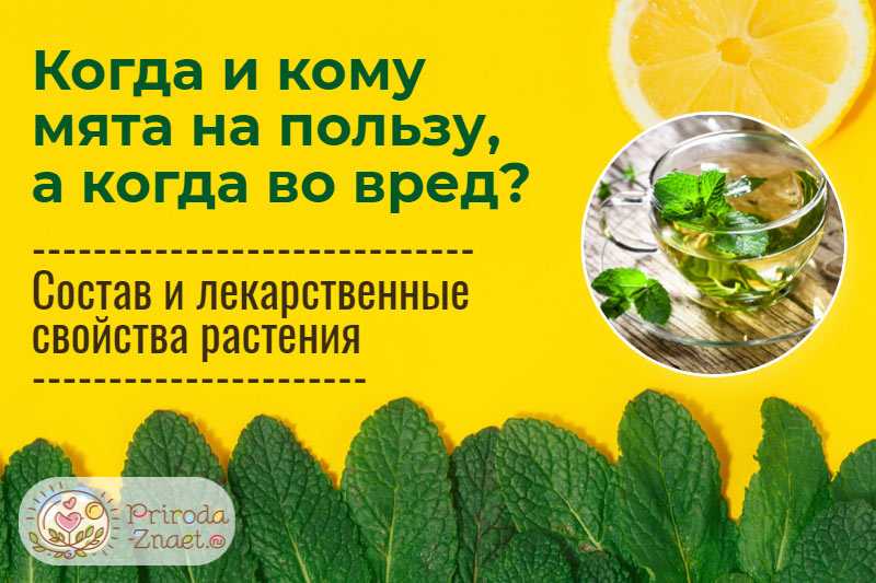 Напитки для детей от 6 месяцев до 4 лет