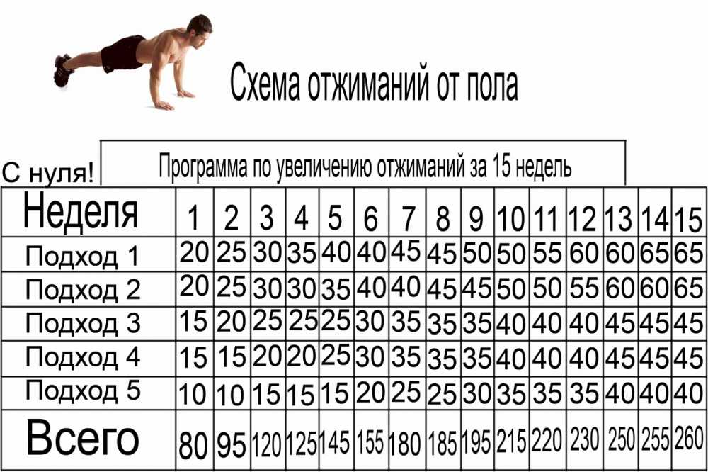 Segol propietats