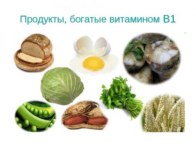 Натуральный в1. Витамин в1 в продуктах питания. Продукты богатые витамином b1. Источники витамина в1 в продуктах. В каких продуктах содержится витамин б1.