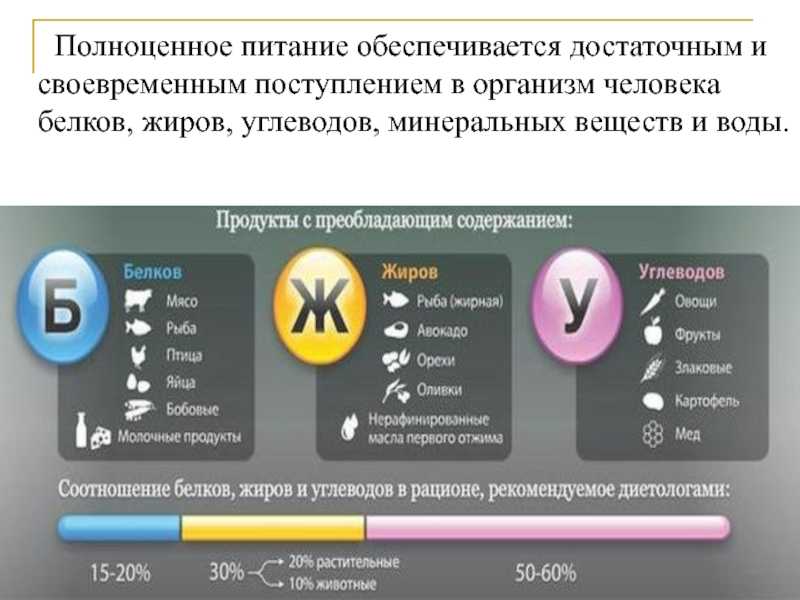 Диаграмма белков жиров и углеводов