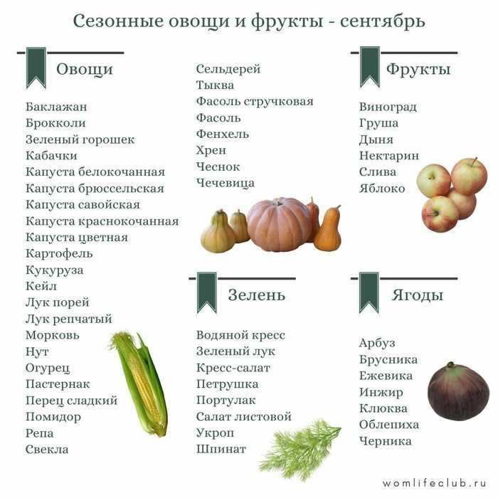 Сезонные продукты, которые следует включить в свой рацион в сентябре