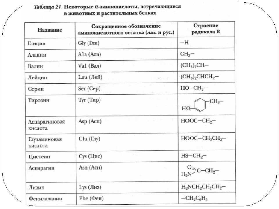 Что такое аминокислоты, таблица, формулы, свойства, применение