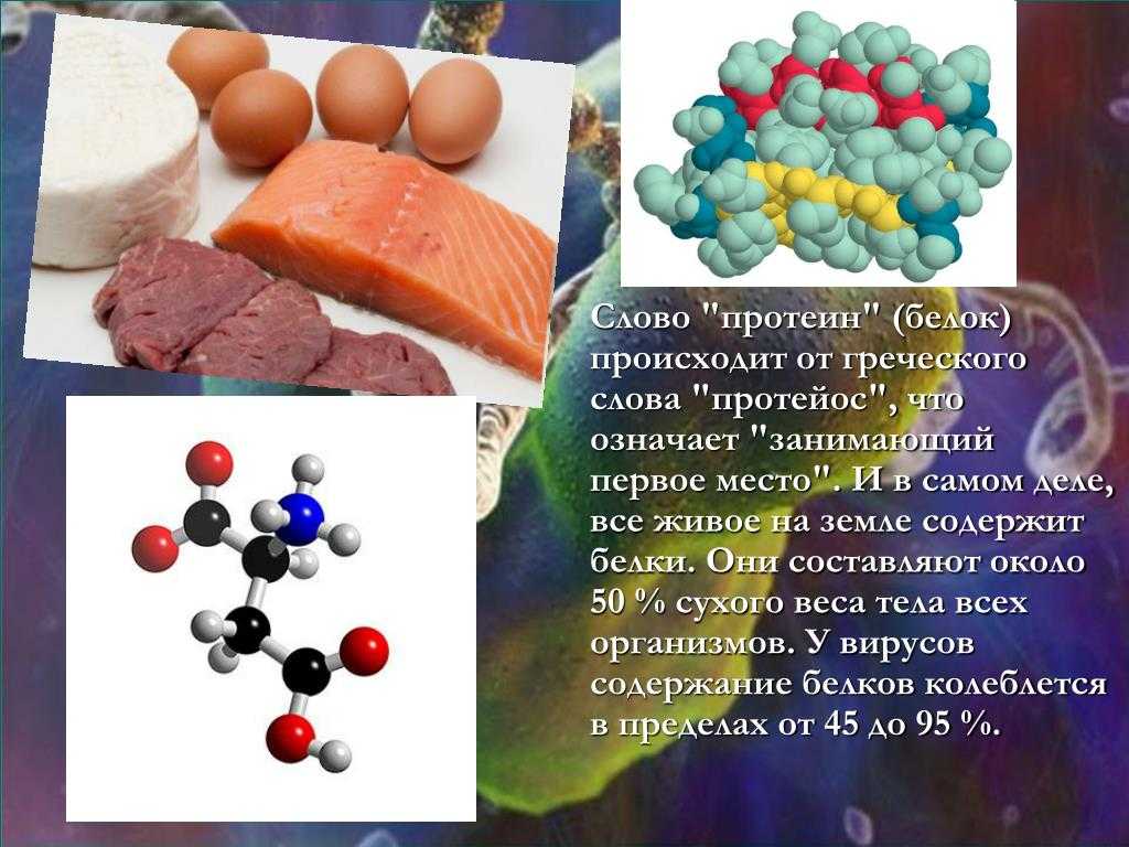 Оптимальное соотношение белков, жиров и углеводов - как рассчитать количество бжу