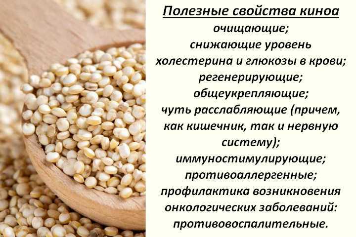 Польза и особенности приготовления нута