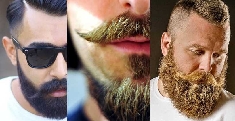 Кому нужно отращивать бороду борода
