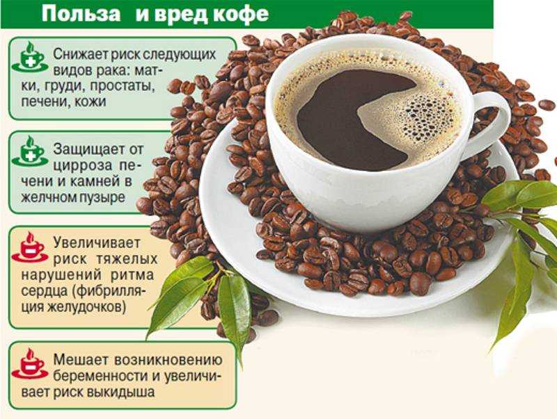 В чем польза кофе и сколько чашек можно пить без вреда для здоровья?
