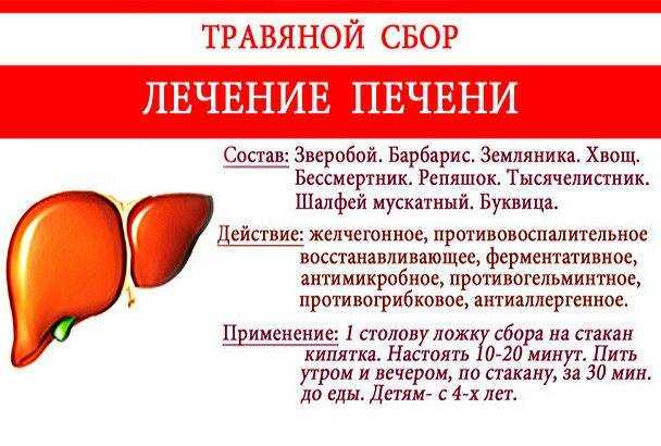 Топ 10 способов очистки организма от шлаков и токсинов в домашних условиях