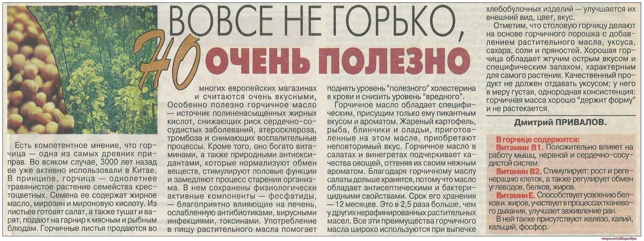 Горчица: польза и вред для организма мужчины и женщины
