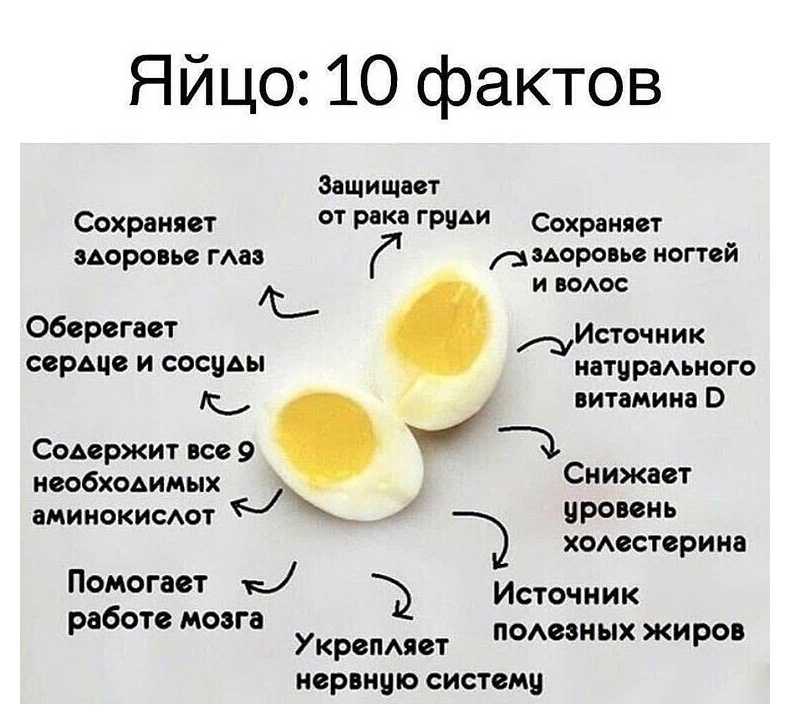 В каких продуктах содержится белок? список источников протеина