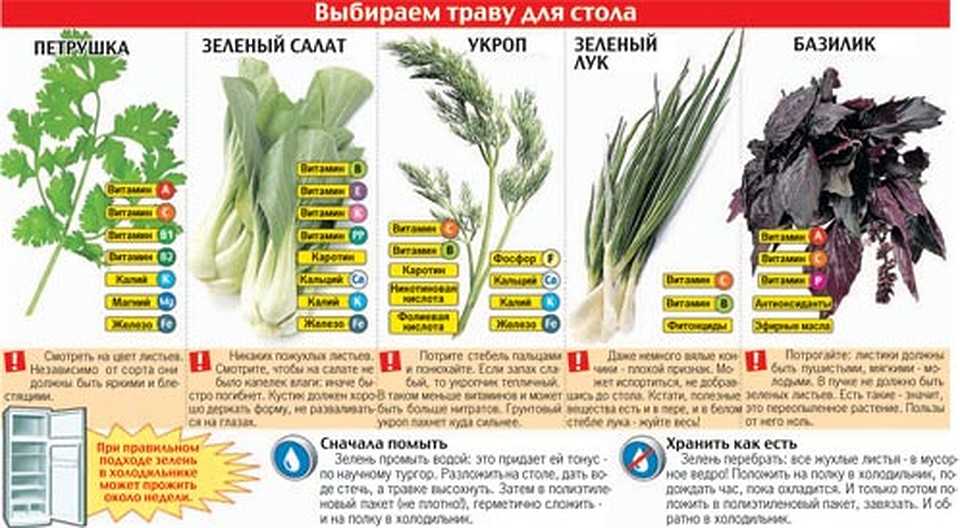 Сушеная рыба калорийность - salon-nikol.su