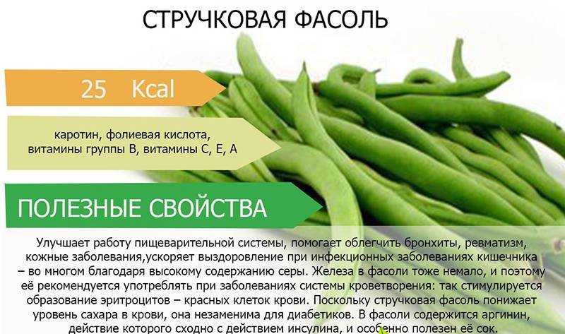 Фасоль при похудении: польза и рецепты