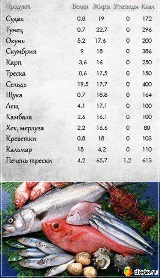 Скумбрия: пищевая ценность, калорийность на 100 грамм, полезные свойства