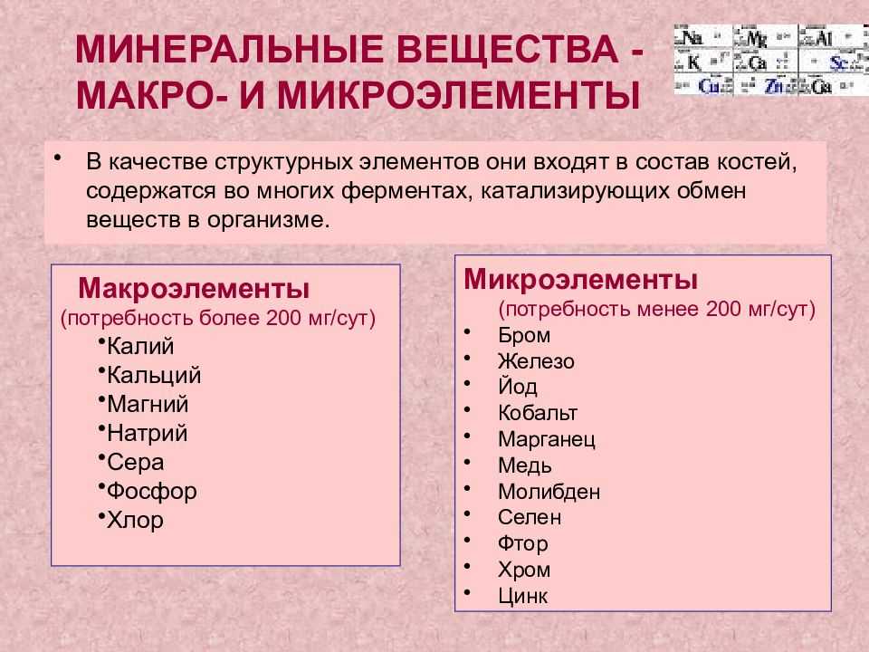 Молоко: польза и вред | food and health