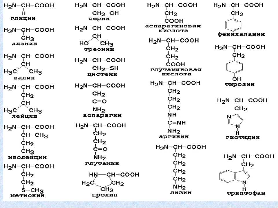 10 формул аминокислот. Таблица 20 аминокислот химия. Аминокислоты таблица формулы 20 биохимия. Формулы 20 аминокислот биохимия. Структурные формулы 20 аминокислот.