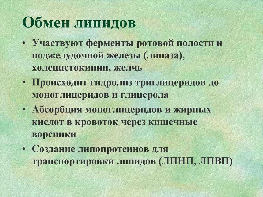 Схема липидного обмена