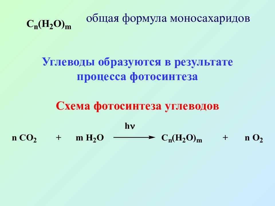 Глава 5. углеводы: 80 % минимум