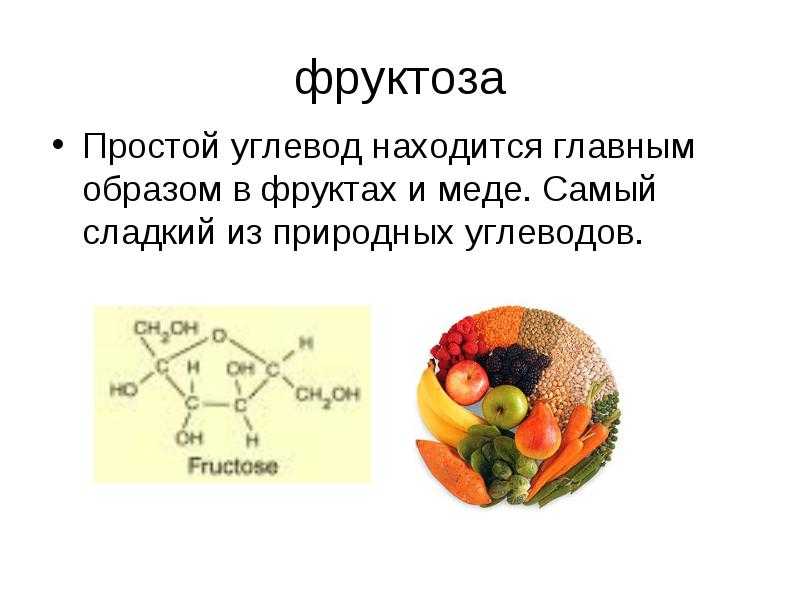 Урок 13: углеводы - 100urokov.ru