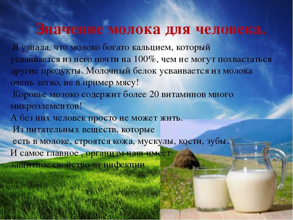Таблица калорийности продуктов