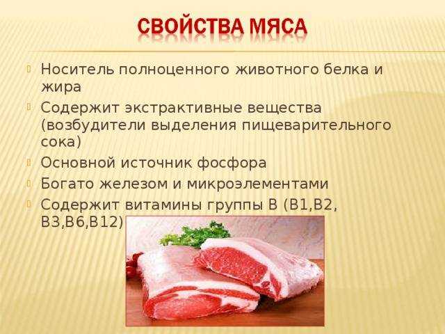 Говядина: польза и вред, калорийность, состав, как правильно приготовить