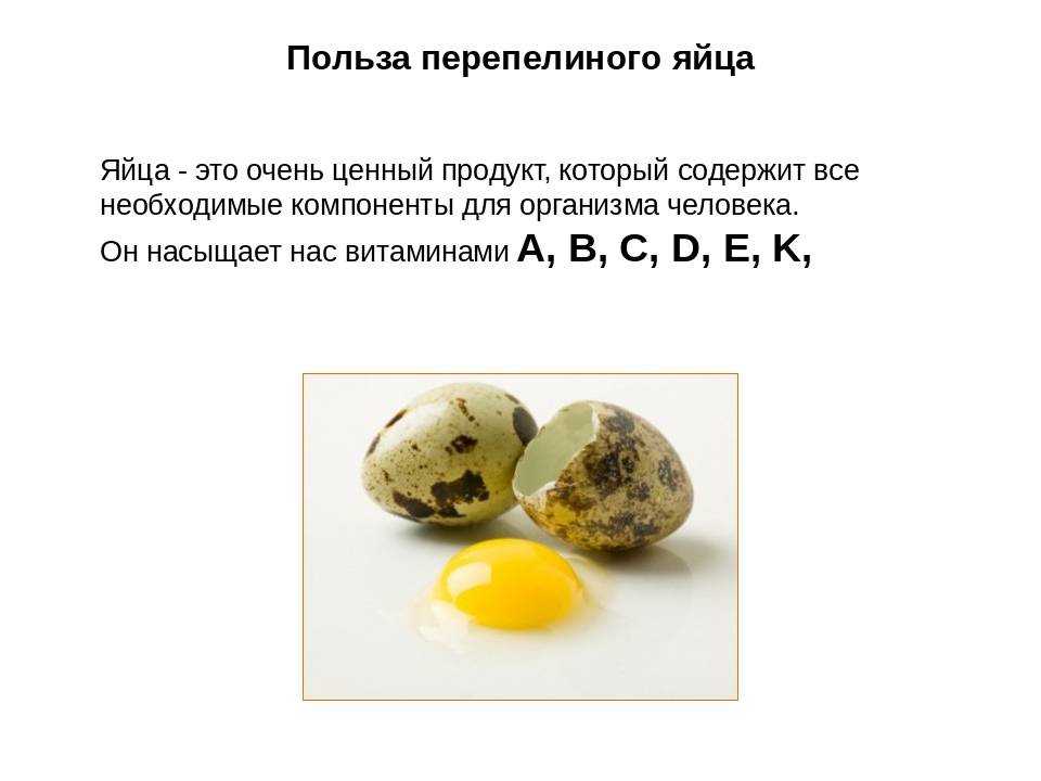 Белок в продуктах питания: таблица содержания белка в продуктах животного и растительного происхождения