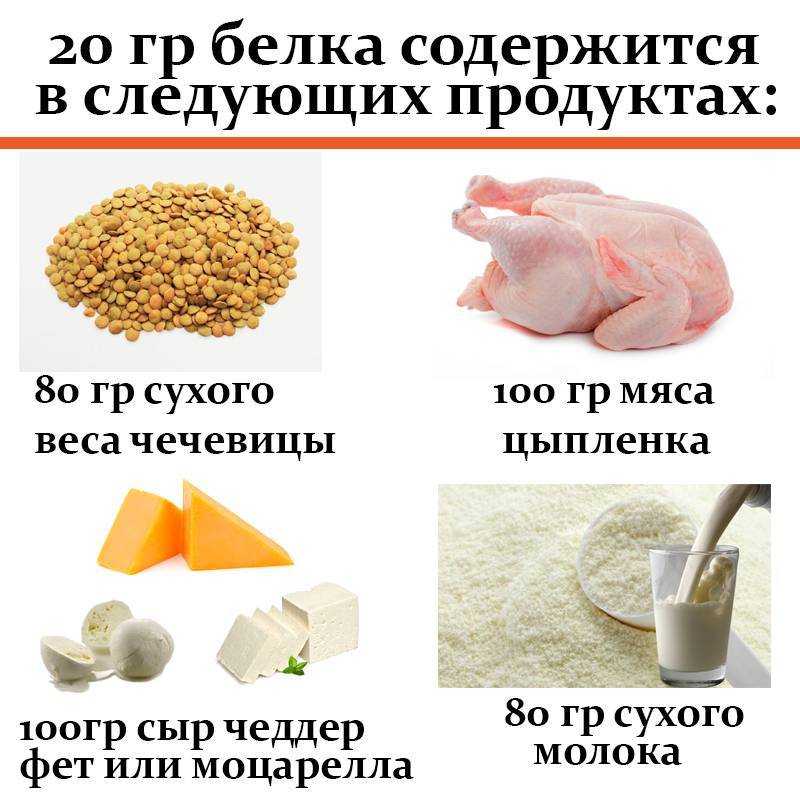Белки — химический состав, структура, общая формула