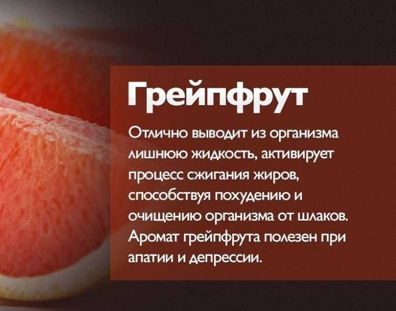 В чем заключается успех разгрузочных дней на фруктах?